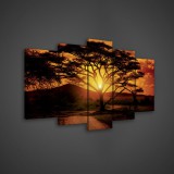 Consalnet Vászonkép 5 darabos, Naplemente Afrikában 100x60 cm méretben