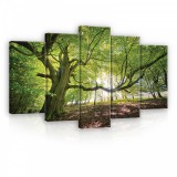 Consalnet Vászonkép 5 darabos, Napos erdő 100x60 cm méretben