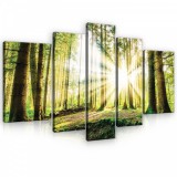 Consalnet Vászonkép, 5 darabos, Napos erdő 170x100 cm méretben