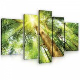Consalnet Vászonkép, 5 darabos, Napsütéses erdő 170x100 cm méretben