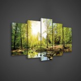 Consalnet Vászonkép 5 darabos. Nyári erdő és a patak100x60 cm méretben