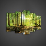 Consalnet Vászonkép 5 darabos. Nyári erdő és a patak100x60 cm méretben