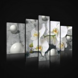Consalnet Vászonkép, 5 darabos, Orchidea gömbökkel 170x100 cm méretben
