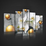 Consalnet Vászonkép, 5 darabos, Orchidea gömbökkel 170x100 cm méretben