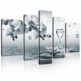 Consalnet Vászonkép, 5 darabos, Orchideák vízcseppel 170x100 cm méretben