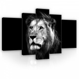 Consalnet Vászonkép, 5 darabos, Oroszlán fekete-fehér 170x100 cm méretben