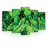 Consalnet Vászonkép 5 darabos, Pálma levél 100x60 cm méretben
