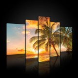 Consalnet Vászonkép, 5 darabos, Pálmafák a tengerparton 170x100 cm méretben