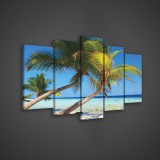 Consalnet Vászonkép 5 darabos, Pálmafás tengerpart 100x60 cm méretben