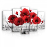 Consalnet Vászonkép 5 darabos, Pipacsok 100x60 cm méretben