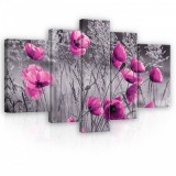 Consalnet Vászonkép, 5 darabos, Pipacsok rózsaszínben 170x100 cm méretben