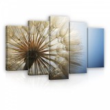 Consalnet Vászonkép 5 darabos, Pitypang 100x60 cm méretben