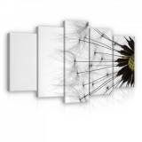 Consalnet Vászonkép 5 darabos, Pitypang 100x60 cm méretben