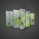 Consalnet Vászonkép 5 darabos, Pitypang 100x60 cm méretben