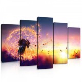 Consalnet Vászonkép 5 darabos, Pitypang napfelkeltekor 100x60 cm méretben