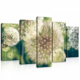 Consalnet Vászonkép 5 darabos, Pitypang színesben 100x60 cm méretben