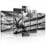 Consalnet Vászonkép, 5 darabos, Repülő fekete-fehér 170x100 cm méretben