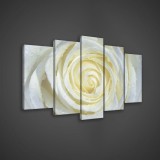 Consalnet Vászonkép 5 darabos, Rózsa 100x60 cm méretben