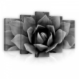 Consalnet Vászonkép 5 darabos, Rózsabimbó fekete-fehérben 100x60 cm méretben