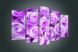 Consalnet Vászonkép 5 darabos, Rózsák 100x60 cm méretben