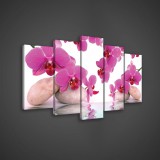 Consalnet Vászonkép 5 darabos, Rózsaszín orchideák 100x60 cm méretben