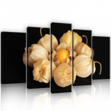 Consalnet Vászonkép 5 darabos, Szárított virággumó natúrba 100x60 cm méretben