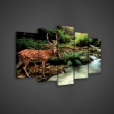 Consalnet Vászonkép 5 darabos, Szarvas az erdőben 100x60 cm méretben