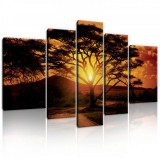 Consalnet Vászonkép, 5 darabos, Szavannai naplemente 170x100 cm méretben