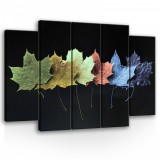 Consalnet Vászonkép, 5 darabos Színes levelek 150x100 cm méretben