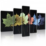 Consalnet Vászonkép, 5 darabos, Színes levelek 170x100 cm méretben