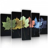 Consalnet Vászonkép 5 darabos, Színes tölgyfa levelek fekete háttérrel 100x60 cm méretben