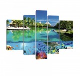 Consalnet Vászonkép, 5 darabos, Tengeri állatvilág 170x100 cm méretben