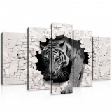 Consalnet Vászonkép 5 darabos, Tigris 100x60 cm méretben