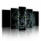 Consalnet Vászonkép 5 darabos, Tigris 100x60 cm méretben