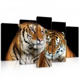 Consalnet Vászonkép 5 darabos, Tigris pár 100x60 cm méretben