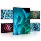 Consalnet Vászonkép, 5 darabos Virágok variálható elrendezésben