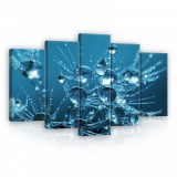 Consalnet Vászonkép 5 darabos, Vízcseppek 100x60 cm méretben