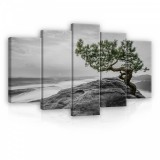 Consalnet Vászonkép 5 darabos, Zöldelő fa a hegytetőn 100x60 cm méretben