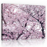 Consalnet Vászonkép, Cseresznyefa, 100x75 cm méretben