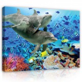 Consalnet Vászonkép, Delfinek, 80x60 cm méretben