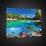 Consalnet Vászonkép, Delfinek, 80x60 cm méretben