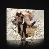 Consalnet Vászonkép, Elefánt 80x60 cm méretben