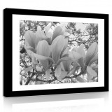 Consalnet Vászonkép, Fekete-fehér magnólia, 100x75 cm méretben