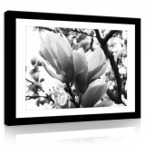 Consalnet Vászonkép, Fekete-fehér magnólia, 60x40 cm méretben
