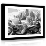 Consalnet Vászonkép, Fekete-fehér virág, 60x40 cm méretben