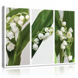 Consalnet Vászonkép, Gyöngyvirág, 100x75 cm méretben