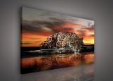 Consalnet Vászonkép, Jaguár, 100x75 cm méretben