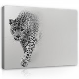 Consalnet Vászonkép, Jaguár, 60x40 cm méretben