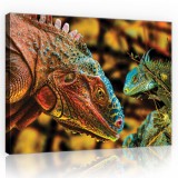 Consalnet Vászonkép, Kaméleonok, 60x40 cm méretben