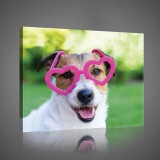 Consalnet Vászonkép, Kiskutya 80x60 cm méretben